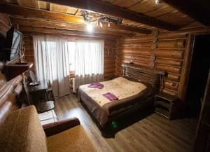 Отели . Гостиница Полулюкс двухместный Беркут 2+1. 