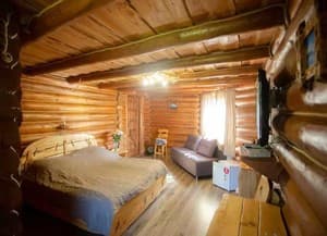 Отели . Гостиница Полулюкс двухместный Боржава 2+2. 