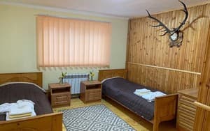 Сердце Карпат. Номер Коттедж 6-местный 6+2