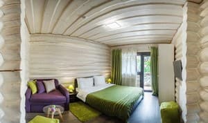 Отели . Гостиница Стандарт двухместный Плюс №21. 