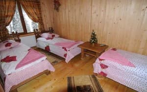 Alena. Room Standard Triple 
