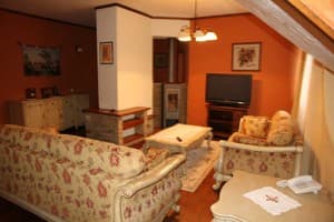 Отели . Гостиница Люкс двухместный (президентский). 