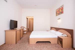 Готелі . Готель Стандарт двомісний Double. 