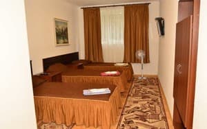 Отели . Гостиница Стандарт трехместный . 