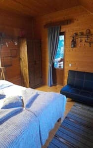 На пеньках. Номер Стандарт трехместный 