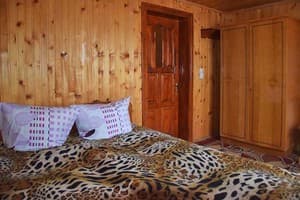 Podnozhie Trostyana. Room Economy Double 