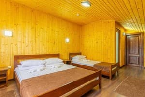 Sofion Hotel & Resort. Номер Делюкс трехместный 