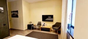 Hotels . Hotel Standard Double (without kitchen). 