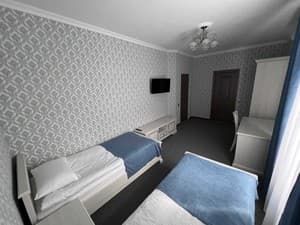 Zolotoy fazan. Room Standard Double twin