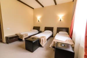 Готелі . Готель Стандарт тримісний . 