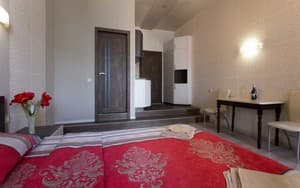 Apart-hotel on Sumska. Room Standard Double 7-7