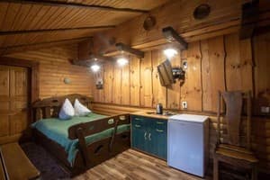 Готелі . Готель Делюкс двомісний зелений. 