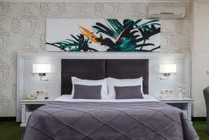 Отели . Гостиница Люкс двухместный . 