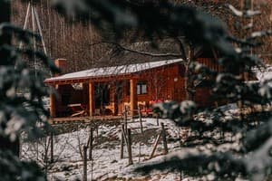 Отели . Гостиница Коттедж 4-местный . 