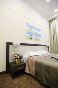 Donald hotel. Номер Люкс двомісний DeLuxe