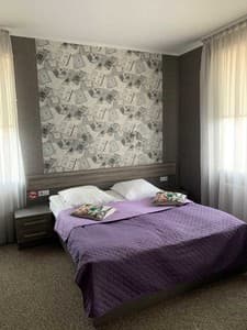 Отели . Гостиница Люкс трехместный . 