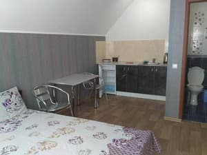 Hotels . Hotel Suite Double  №4. 
