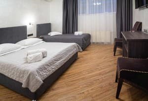 Отели . Гостиница Стандарт трехместный . 