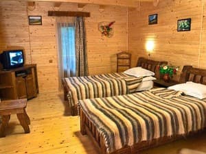 На пеньках. Номер Стандарт двухместный twin.