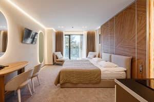 Hotels . Hotel Apartament Double  improvements with mountain views. 