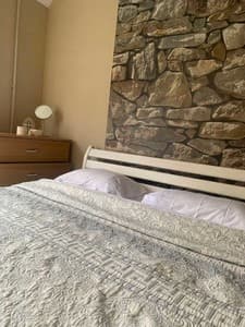 one-room apartment on the street Mykhailo Hrushevskyi. Room Studio Triple Daily