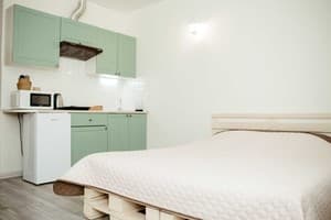 Apartments at Kontorskaya 10. Room Apartament Double 