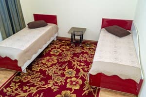 Готелі . Готель Стандарт двомісний 4 TWIN. 