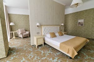 Отели . Гостиница Люкс двухместный Suite. 