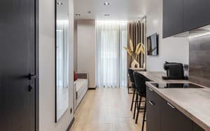 Готелі . Готель Апартаменти двомісний Semi Suite Lake View (2+1). 