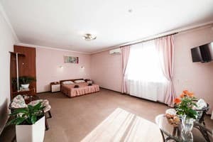 Borzhava. Room Standard Double One-room in cottage