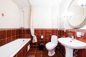Borzhava. Room Superior Double 