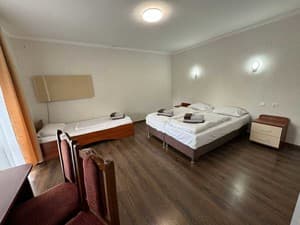 Borzhava. Room Family room Double 