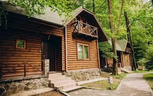 Солотвино Резорт. Номер Коттедж 7-местный 