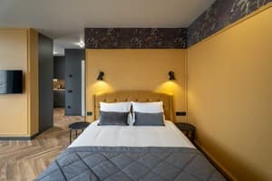 Ridge Apartments. Номер Апартаменты двухместный Делюкс
