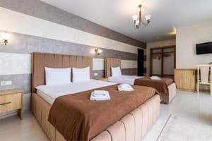Gold Palace Wellness & Spa. Номер Делюкс трехместный 
