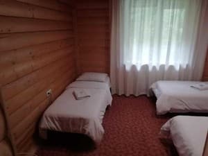 Черемош. Номер Стандарт трехместный Twin