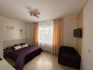 Отели . Гостиница Стандарт трехместный . 