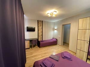 Отели . Гостиница Стандарт трехместный . 