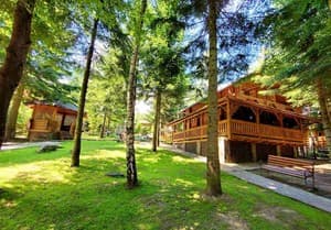 Hotels . Hotel Cottage 6-places 8-bed room. 