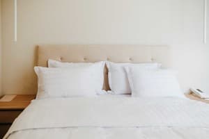 Готелі . Готель Напівлюкс 4-місний Forest. 