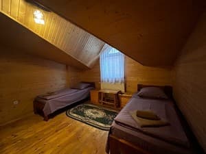 Навигатор Карпат. Номер Стандарт двухместный 