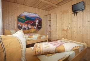 Serce Karpat. Room Standard Double Twin