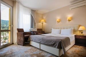 Kyivska Russ Resort Medical&Spa. Номер Стандарт двухместный Premium с видом на горы