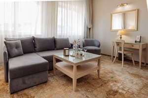 Kyivska Russ Resort Medical&Spa. Номер Люкс двухместный 