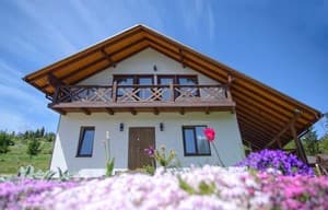 Готелі . Готель Котедж 10-місний . 