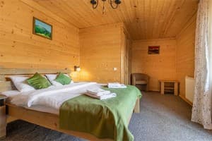 Konopka Forest Home & SPA. Номер Стандарт двухместный с видом на горы