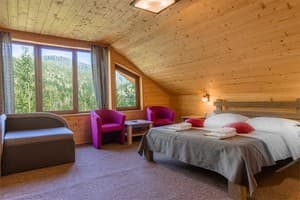Konopka Forest Home & SPA. Номер Стандарт трехместный 