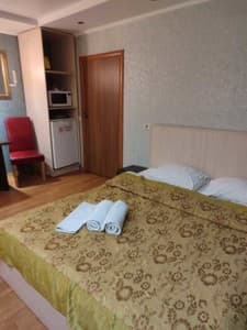 Готелі . Готель Стандарт двомісний №2. 