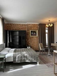 Gosudar. Room Studio Double with kitchenette without stove