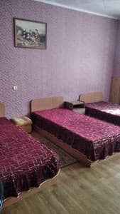 Отели . Гостиница Стандарт трехместный с креслом-кроватью. 